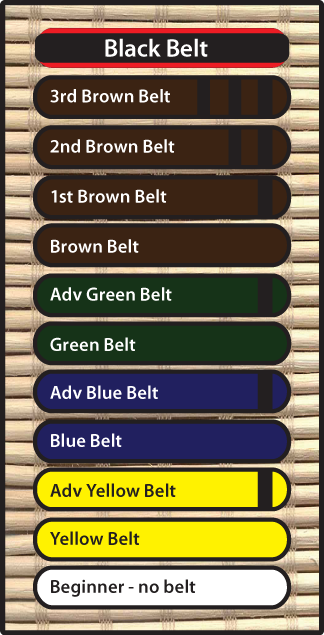 Belt system